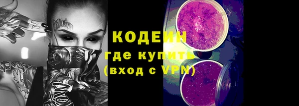 мяу мяу мука Горно-Алтайск