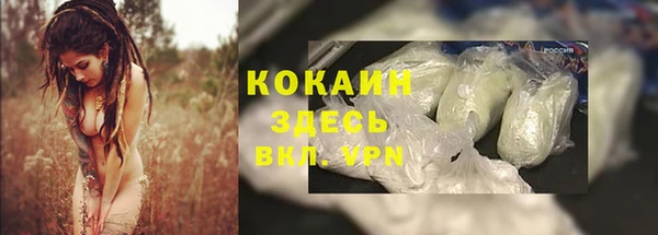 соль курить ск Горняк