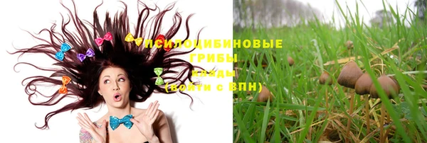 соль курить ск Горняк