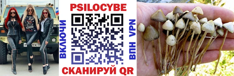 Псилоцибиновые грибы Magic Shrooms  Купить закладки  Лениногорск 
