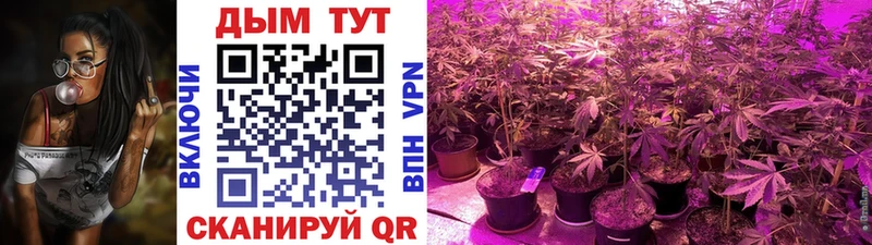 Купить где  Лениногорск  МАРИХУАНА VHQ 